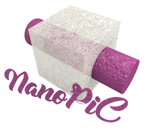 Nanopic