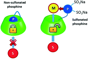 Graphical Abstract