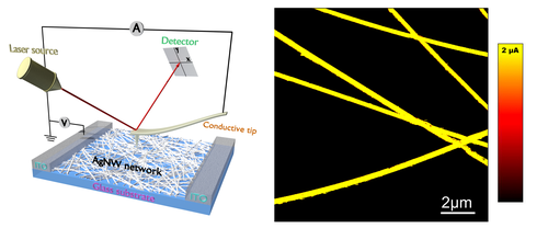 Graphical Abstract