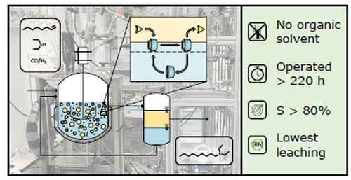 Graphical Abstract